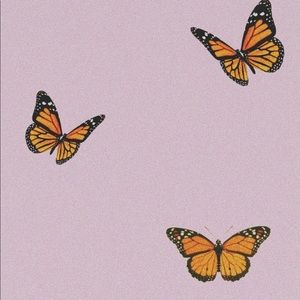 Meet your Posher, Katherine